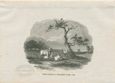 Chartley Halle - Park von Thomas Peploe Wood