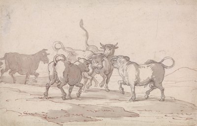 Eine Gruppe von fünf Bullen, die kämpfen wollen von Thomas Rowlandson