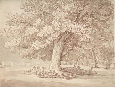 Herde von Hirschen unter einer Eiche, 1775-1827 von Thomas Rowlandson