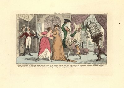 Mann wird in einem Salon von einem Papagei und einer Katze angegriffen von Thomas Rowlandson