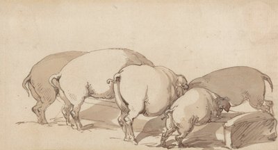 Schweine an einem Trog, ca. 1790 von Thomas Rowlandson
