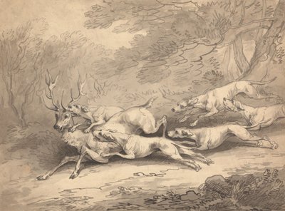 Hirsch von einem Rudel Hunde erlegt von Thomas Rowlandson
