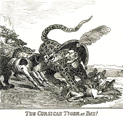 Der gebellte korsische Tiger (Napoleon Bonaparte), Karikatur 1808 von Thomas Rowlandson