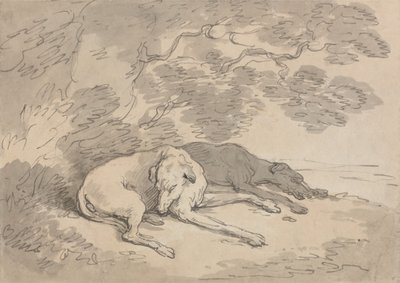 Zwei Windhunde unter einem Baum liegend von Thomas Rowlandson