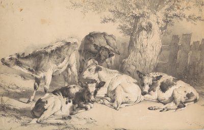 Vieh von Thomas Sidney Cooper