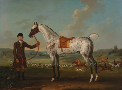 Scipio, ein gefleckter Jäger, Eigentum von Colonel Roche von Thomas Spencer