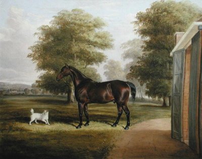 Ein braunes Pferd mit einem Terrier von Thomas W. Bretland