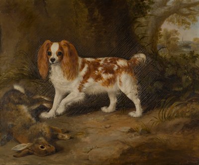 Ein Spaniel mit einem toten Hasen von Thomas W. Bretland