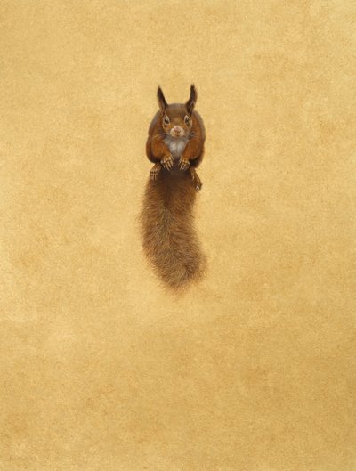 Springendes rotes Eichhörnchen von Tim Hayward