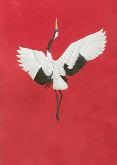 Der Tanz-Rot von Tim Hayward