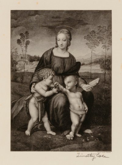 Alte italienische Meister von Timothy Cole
