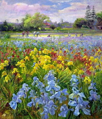 Hackteam und Irisfelder von Timothy Easton