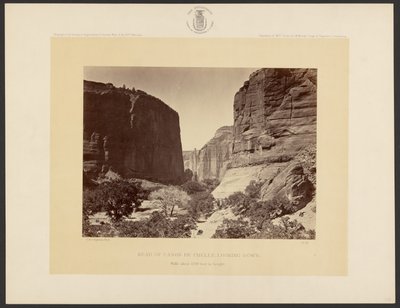 Kopf des Cañon de Chelle, Blick nach unten. Wände etwa 1.200 Fuß hoch. von Timothy H. O
