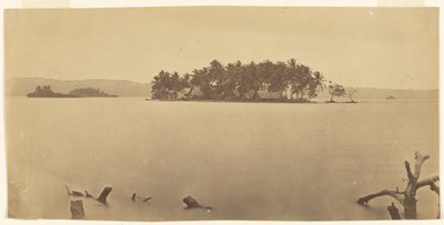 [Isthmus von Darien (Panama)] von Timothy H. O
