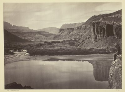 Blick über den Colorado River zum Mund des Paria Creek von Timothy O