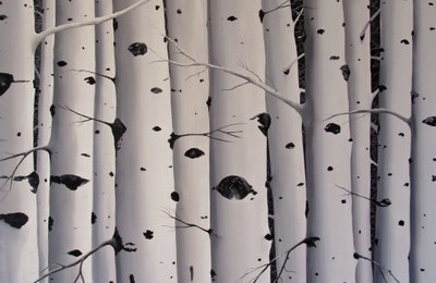 Birkenbäume, 2017 von Tina Palmer