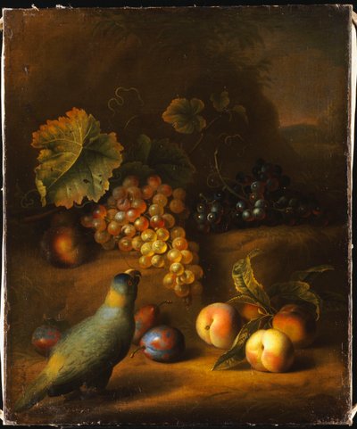 Ein Papagei mit Trauben, Pfirsichen und Pflaumen in einer Landschaft von Tobias Stranover