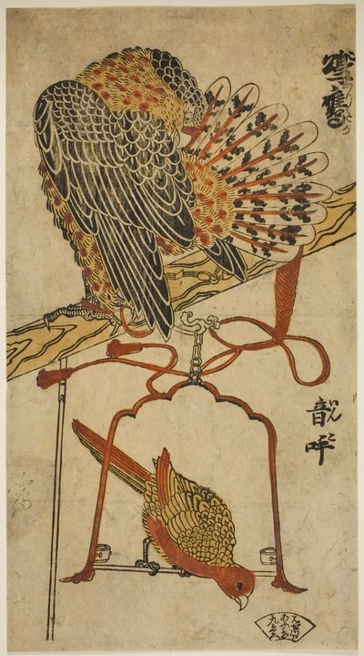 Sperber und Ara (Konori taka, inko) von Torii Kiyomasu I