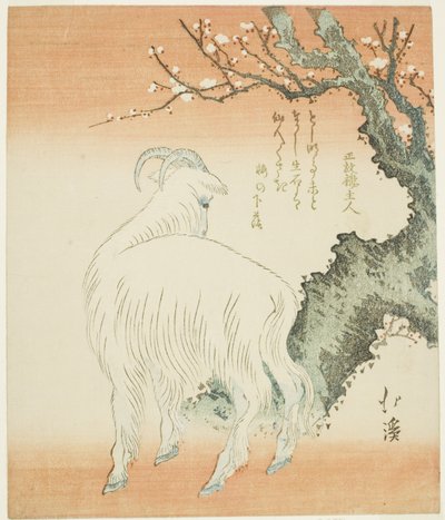 Ziege unter einem Pflaumenbaum von Totoya Hokkei