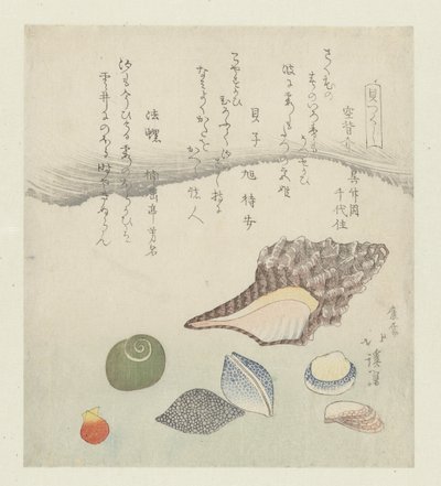Reflexionsmuschel, Elfenbeinschnecke und Tritonschnecke (Eine Serie von Muscheln) von Totoya Hokkei