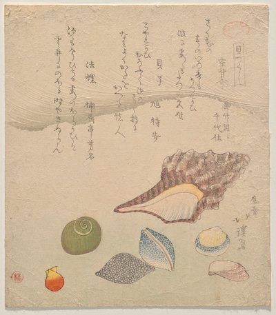 Sieben Muscheln am Rand des Meeres, aus der Serie Muschelkompendium (Kaizukushi) von Totoya Hokkei