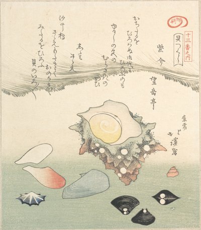 Turmschnecke und verschiedene Muscheln, 19. Jahrhundert von Totoya Hokkei