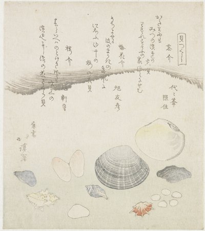 Vergessene Muschel, Pflaumenblütenmuschel und Kirschmuschel von Totoya Hokkei