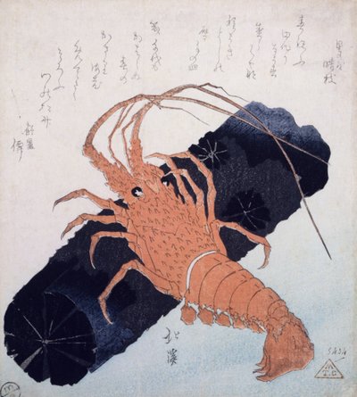 Languste mit einem Stück Kohle, ca. 1830 von Toyota Hokkei