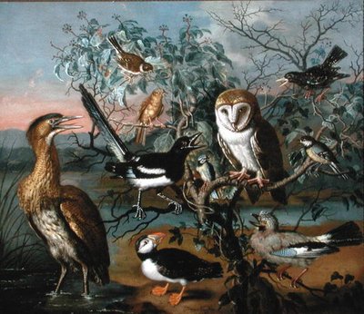 Ein Konzert der Vögel: ein Papageientaucher, Eichelhäher, Kohlmeise, Rohrdommel, Star, Elster, Goldammer, Rohrammer und Schleiereule von Trajan Hughes