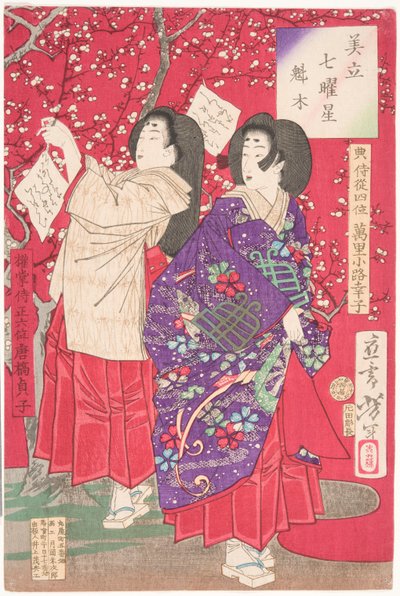 Holz für den Pflaumenbaum von Tsukioka Yoshitoshi