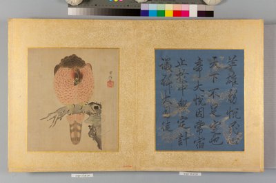 Album von Falken und Kalligraphie von Tsunenobu Kano