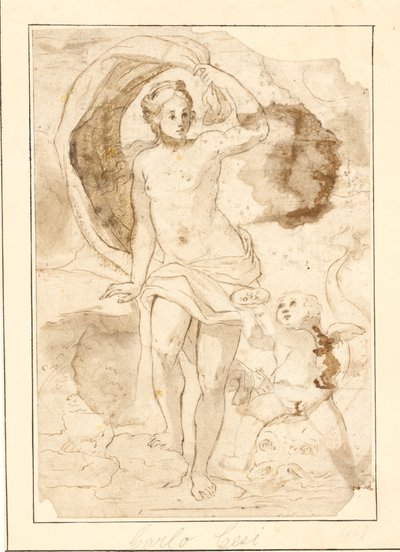 Venus wird von Amor, der auf einem Delphin reitet, Perlen in einer Muschel angeboten von Ubekendt