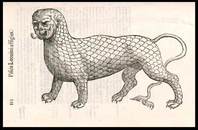 Monsterkreatur: ein Löwe bedeckt mit Fischschuppen (oder Löwenfisch). Gravur von Ulisse Aldrovandi (1522-1605), „Monstrorum Historiae“, Bologna 1642 von Ulisse Aldrovandi