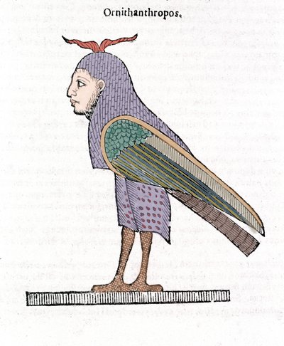 Ornithantropos. Vogel mit menschlichem Kopf. Ulisse Aldrovandi „De monstrorum Historia“ Bologna 1642 von Ulisse Aldrovandi