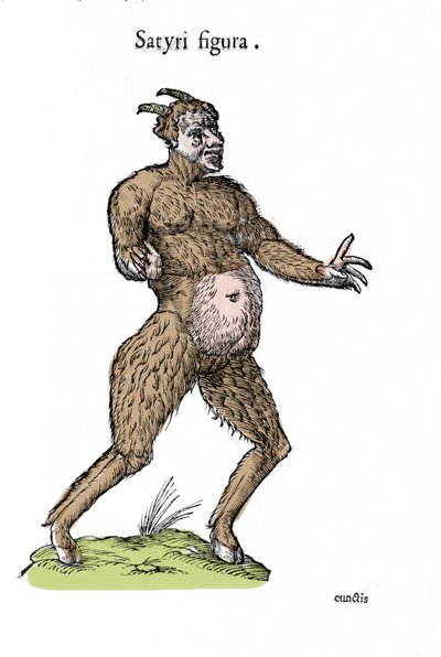 Darstellung eines Satyrs. Tafel eines Naturgeschichtsmanuskripts von Ulisse Aldrovandi (1522-1605) über Monster von Ulisse Aldrovandi