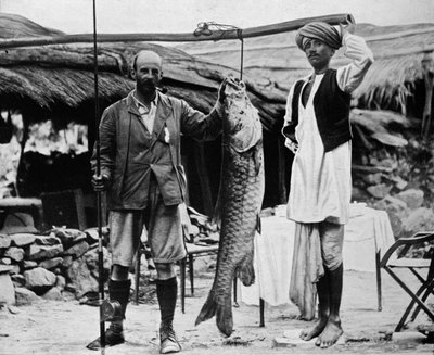 59 Pfund Mahseer, gefangen von Hauptmann H. B. D. Campbell, R.E., im oberen Ganges, ca. 1903 von Unbekannt