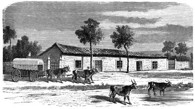 Eine Burenfarm, Südafrika, ca. 1890 von Unbekannt