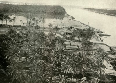 Eine britische Position am Fluss Tigris von Unbekannt