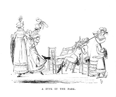 Eine Ente im Park, ca. 1870 von Unbekannt