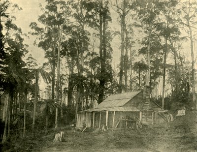 Eine rustikale Behausung, 1901 von Unbekannt