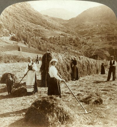Eine Bauernfamilie macht Heu auf einem sonnigen Feld zwischen den Bergen, Røldal, Norwegen, um 1905 von Unbekannt