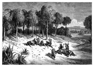 Ein Orangenhain im Süden Spaniens, um 1890 von Unbekannt