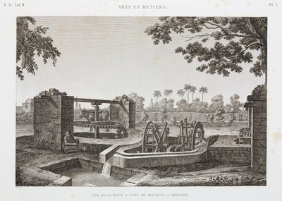 Tierkraft-Rad und Eimer-Bewässerungssystem, Ägypten, ca. 1798 von Unbekannt