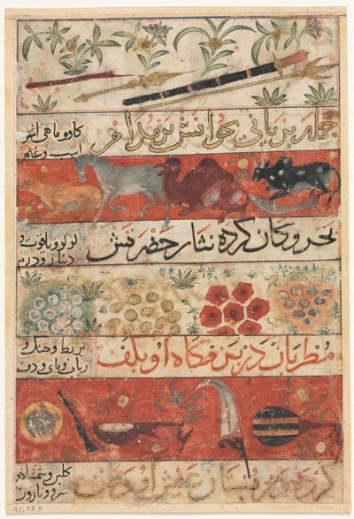 Tiere, Edelsteine, Münzen und Musikinstrumente recto..., ca. 1341 von Unbekannt