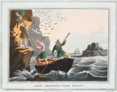 Vogeljagd von unten, Shetlandinseln, 1813 von Unbekannt