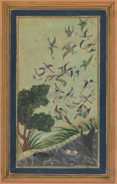 Vögel in Baran, möglicherweise aus dem Babur-nama, spätes 16. Jahrhundert von Unbekannt