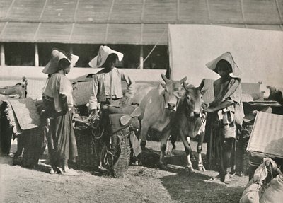 Karawanenszene mit Shans in Bhamo, 1900 von Unbekannt