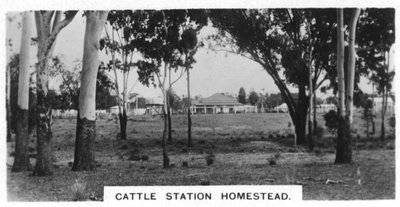 Viehstation Homestead, Australien, 1928 von Unbekannt
