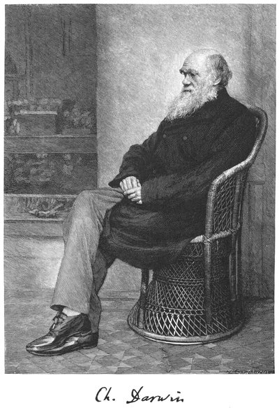 Charles Darwin, englischer Naturforscher, 1883 von Unbekannt