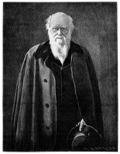 Charles Darwin, renommierter Naturforscher und Denker, 1900 von Unbekannt
